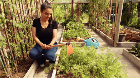 Garden Hoe, 60 cm wooden handle 2
